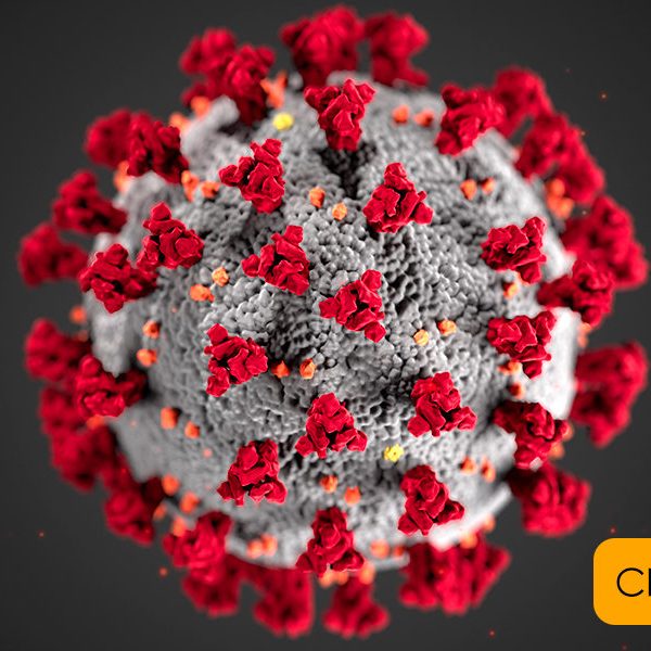 2019-coronavirus