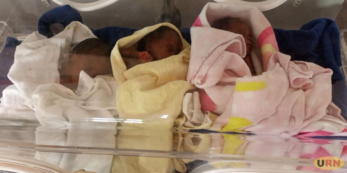 Premature triplets sharing one incubator at Gulu Regional Referral Hospital Neonatal Ward